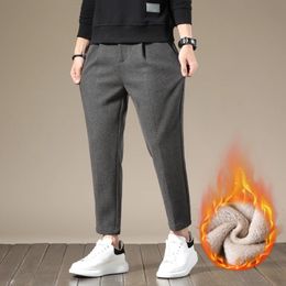 Autumn Winter Suit Pants Men Thick Business Elastic Waist Classic Grey Brown Woolen Straight Korean Formal Trousers Male 240112