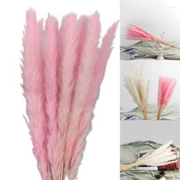 Decorative Flowers 15PCS Natural Dried Pampas Grass Reed Flower Bunch Wedding Bouquet Decors Home Living Room Decoration Sale Artificial