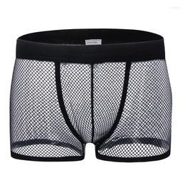 Underpants Selling Men's Boxer Boy Panties Sexy Underwear Mr Whole Sale KDST05