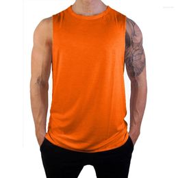 Men's Tank Tops Plain Mesh Gym Clothing Summer Quick Dry Fitness Mens Sports Sleeveless Shirt Loose Basketball Running Vest