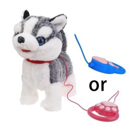 Electronic Plush Dog Toy for Baby Learn to Crawl Leash Puppy Singing Pet Dog Toy 240111