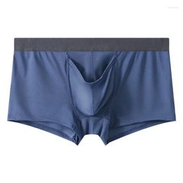 Underpants Youth U Convex Pouch Boxer Shorts For Men Ice Silk Thin Breathable Gun Egg Split Open Underwear Sexy Bottom Aro Pants