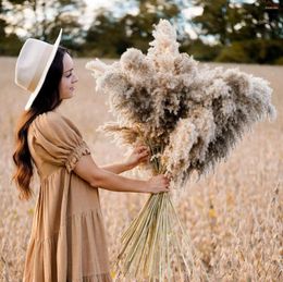 Decorative Flowers 12 Pcs Large Dried Pampas Grass Decor Tall 60cm Boho Pompas Floral For Arrangements Home Wedding Yard Party Pography