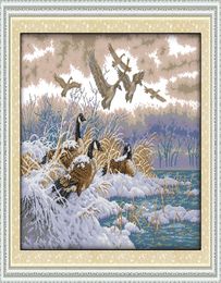 Flying birds in snow scenery Handmade Cross Stitch Craft Tools Embroidery Needlework sets counted print on canvas DMC 14CT 11CT Ho8799416