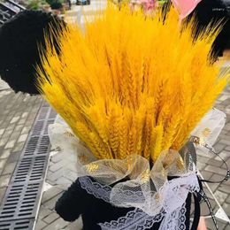 Decorative Flowers 50PCS Wheat Natural Dried Graduation Flower Bouquet Artificial Plants For Decoration Valentines Day Gift Wedding
