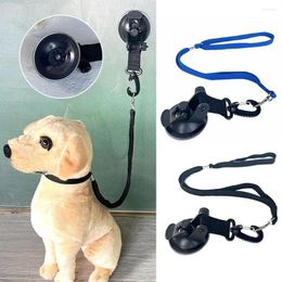 Dog Collars Pet Cat Noose Beauty Table Sling Bathing Fixer Traction Rope Grooming Loops Harness Restraint Accessories