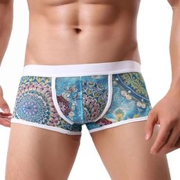 Underpants Men Shorts Sexy Transparent Temptation Mens Underwear Boxers