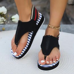 Sandals Mid Heel Adult Elastic Band Casual 2024 High Quality Ladies Shoes Solid Zipper Flat With Fashion Women's