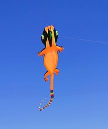 House lizard Kite 3D Kite Colourful Skeleton Long Tail Easy to fly Beach Kites outdoor sport Play2363644