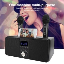 Speakers SD309 Dual Wireless Microphone Bluetooth Speaker Mobile Wireless Karaoke Speaker Wireless Stereo Black 30W SDRD Speaker Set