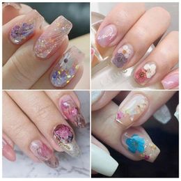 Nail Art Decorations 1 Box Dried Flower Ornament Vibrant Surface Decoration 3D Dry Flowers Stickers Real