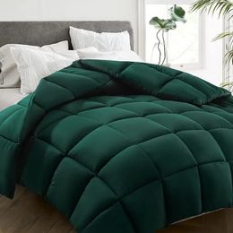 Winter Skin-friendly Comforter Filled with 100% Microfiber Warm Soft and Light All Seasons Three Colours Full Size Quilted Quilt 240113