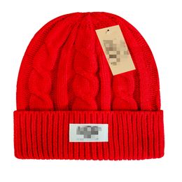 NEW Beanie designer Luxury unisex knitted hat North Knit hats 9 Colours classical sports skull caps men women casual outdoor beanie U-2