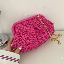 Summer Designer Shoulder Bag Warm Party Straw Weaving Purse Women Pillow Dumpling Cross Body 2023 Winter Pouch Cloud 240113