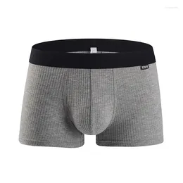 Underpants Men's Boxer Tights Threaded Knickers Sweat Wicking Underwear Thin Breathable Bulge Pouch Trunk Panties Calzoncillo Hombre