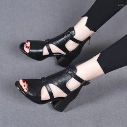 Dress Shoes High Heeled Sandals Female 2024 Summer Fish Mouth Chunky Heel Roman Back Zipper Solid Casual Sandales Femmes