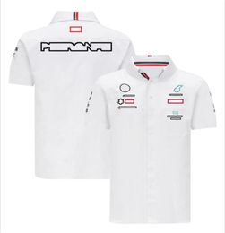 F1 TShirts Team Shirts Formula One Drivers Team Workwear Summer New Racing Fans Outdoor Casual Polo Shirts Team Jersey Workw7129613