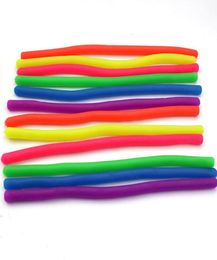 Noodle Sensory Toys Stretchy String Fidget for Relaxing Therapy Good for Stress Relief for Kids Stretchable Flexible4546022