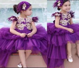 Purple New Ball Gown Girls Pageant Dresses Jewel Neck Gold Lace Feather Short Sleeves Puffy Tiered High Low Length Kids Party Birt4179448