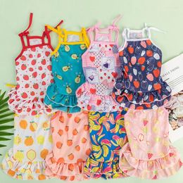 Dog Apparel Animal Pet Sling Skirt Cute Fruit Print Dress Cat Vest Adjustable Elastic Band Double Princess Summer Clothes