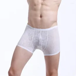 Underpants Transparent Sexy Men's Panties Breathable Sweat Absorbing Boxer Briefs For Male One Piece Thin Men Knickers