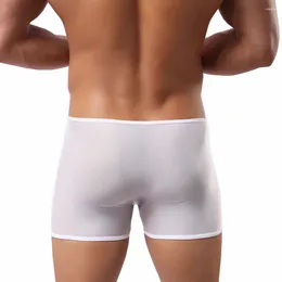 Underpants Transparent And Comfortable Men's See Through Boxer Briefs Mesh Ideal For All Seasons White Colour