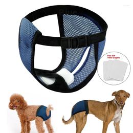 Dog Apparel Breathable Physiological Pants Male Prevention Estrus Polite Belt Female Menstrual Safety Pet Washable Panties