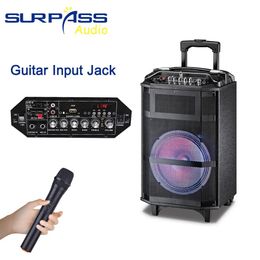 Speakers Outdoor or Home Karaoke Bass Treble Bluetooth Microphone Speaker 10'' Portable Battery Loudspeaker with FM Radio LED Light USB