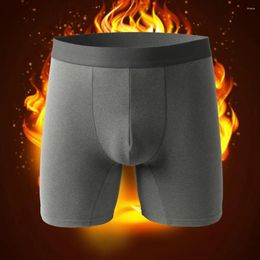 Underpants Men Double-layer Boxers Ergonomic Underwear Men's Winter Thermal Mid Waist Lengthened Solid Colour Elastic Thick Heat