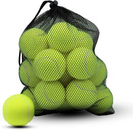 HappyFun Tennis Balls 10 Pack Training Tennis Balls Practise Balls high elasticity Pet Dog Playing Balls fit 240113