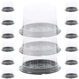 Take Out Containers 20Pcs Chiffon Cake Box Round Small Clear Container Holder