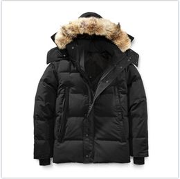 New Winter Fourrure Down Parka Homme Jassen Chaquetas Outerwear Wolf Fur Hooded Fourrure Manteau Wyndham Canada Down Jacket Coat Hiver Doudoune