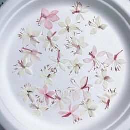 Decorative Flowers Pansy Butterfly Dried Decoration For Paint Seal Material 120Pcs