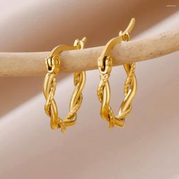 Hoop Earrings Twisted Round For Women Gold Plated Classic Stainless Steel 2024 Trend Couple Piercing Ear Jewelry Aretes