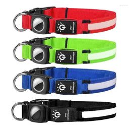 Dog Collars Anti Lost Safety Glowing Collar Outdoor Waterproof Rechargeable LED Flashing Light Strip For Pet Accessories