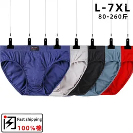 Underpants 2024 Solid Factory Direct Sale 5pcs/Lot Mens Cotton Bikini Underwear Pant For Men Sexy