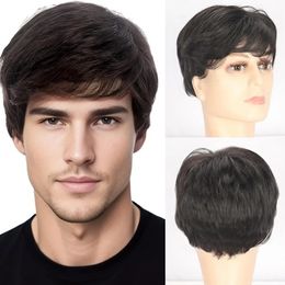 Wigs For Men Synthetic Short Straight Bangs Natural Black Wigs Cosplay Daily Use Heat-Resistant Fibre Mechanism Full Head Cover240115