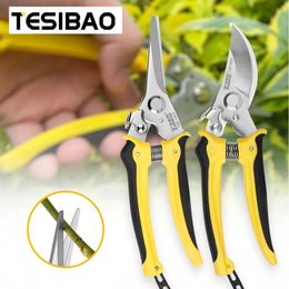 Gardening Scissors Cutting Pruner Shears Bonsai Tools Pruning Branches Flowers 240115