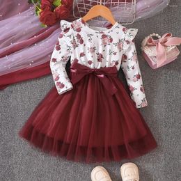 Girl Dresses Girls' Spring And Autumn Flying Sleeves Long Sleeve Printed Mesh Dress For Primary Secondary School Children Clothes