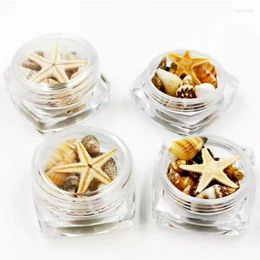 Nail Art Kits Natural Seashell Conch Earring Mini Shells For Crafts