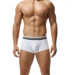Underpants Fashionable Men'S Gradient Striped Waistband Low Waist Boxer Shorts Sexy Cotton Thin Flat Corner Pants Sports Underwear