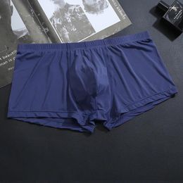Underpants Men Ice Silk Convex Pouch Boxer Shorts For Young Elastic Underwear Ultra Thin Panties Boy's Sexy Transparent Gasy Sports