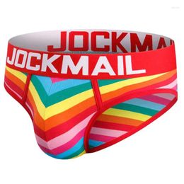 Underpants 2024 Cotton Sexy Gay Men Underwear Bikini Briefs Rainbow Soft Mens Shorts Panties Net Yarn