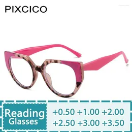 Sunglasses R56954 Ladies Trend Reading Glasses Diopters 1.0 2.0 3.0 Fashion Colourful Tr90 Retro Leopard Presbyopic Eyeglass