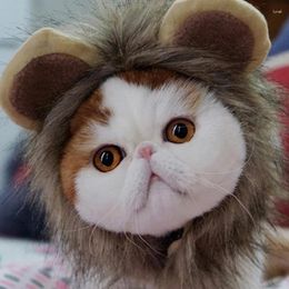 Cat Costumes Cute Lion Mane Hat For Dogs And Small Dog Pet Decor Accessories Fancy Hair Supplies