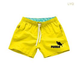 Quick Dry Men's Shorts Trunks Sports Cycling Running Swimming Surfing Fishing Hiking Surfing Holiday Boxer Briefs Board Shorts