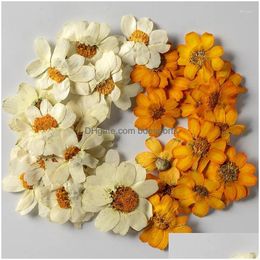 Decorative Flowers & Wreaths Decorative Flowers 1Set Pressed Dried Zinnia Elegans Jacq Flower Herbarium For Epoxy Resin Jewelry Making Dhujo