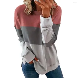 Women's Hoodies Fashion Sweatshirt Colour Block Print Long Sleeve Daily Basic Crew Neck Regular Fit Painting Fall & Winter