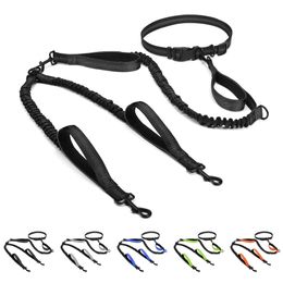 Hands Free Double Dog Leash Dual for Medium and Large Dogs 2 with Padded Handles Reflective Stitche 240115