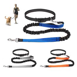 Hand Free Dog Leash for Pet Walking Running Jogging Adjustable leash Waist Belt Chest Strap Traction Rope Accessories 240115